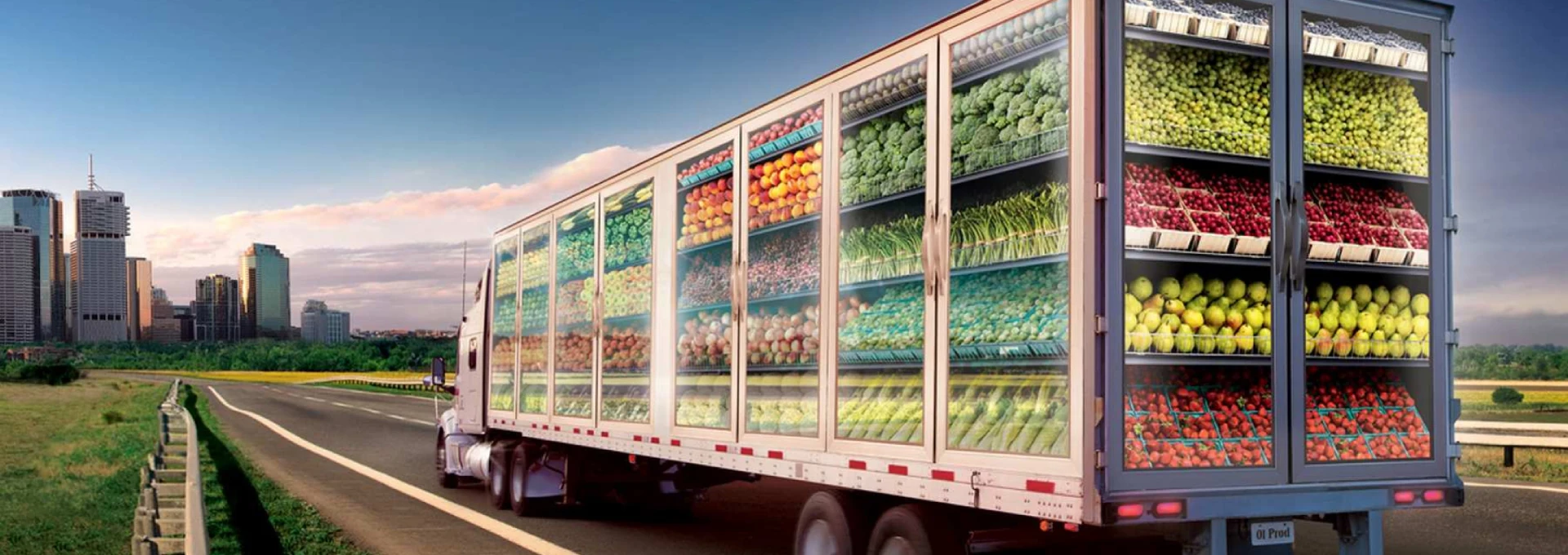 cold chain solutions
